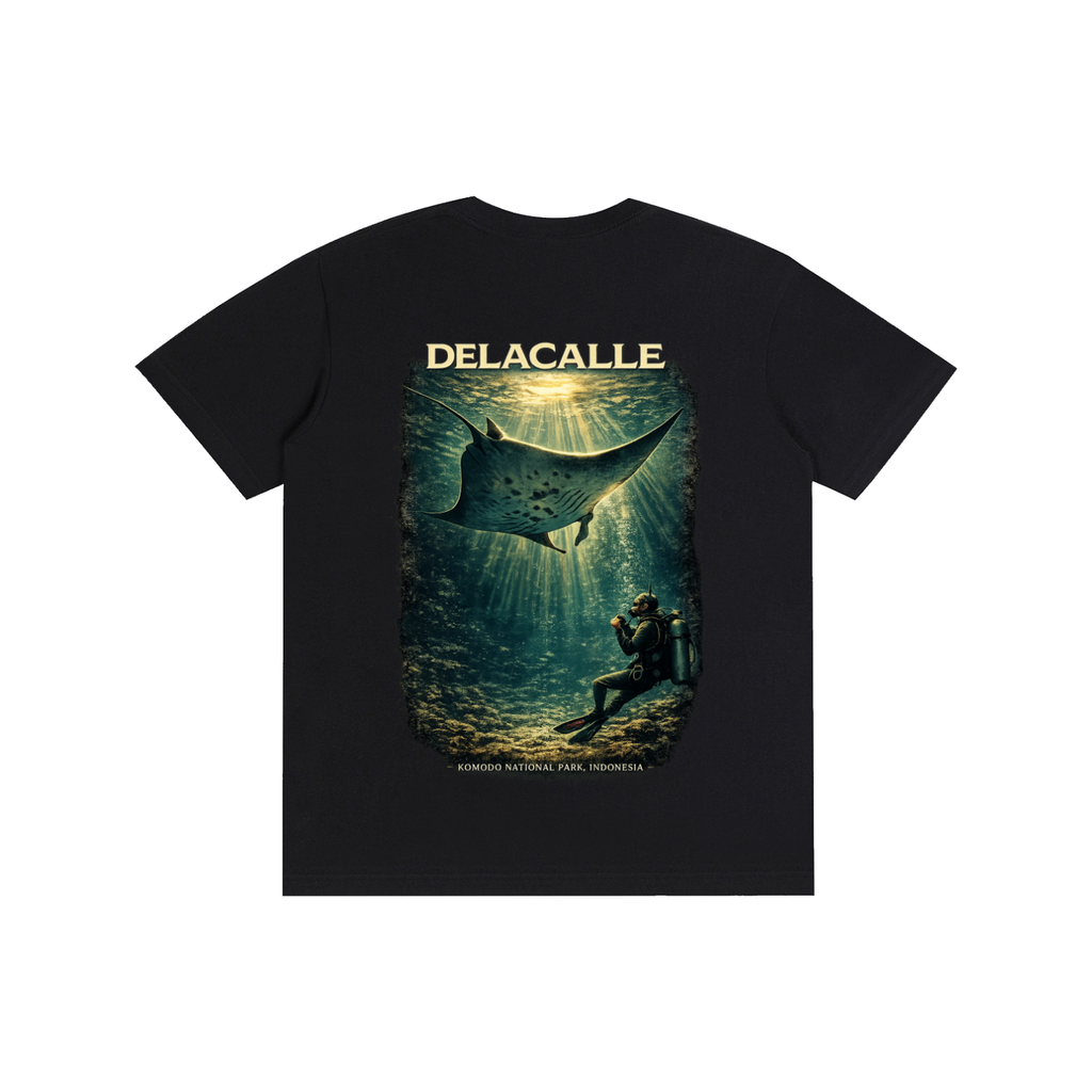 Delacalle - Blue Manta Encounter - IDN