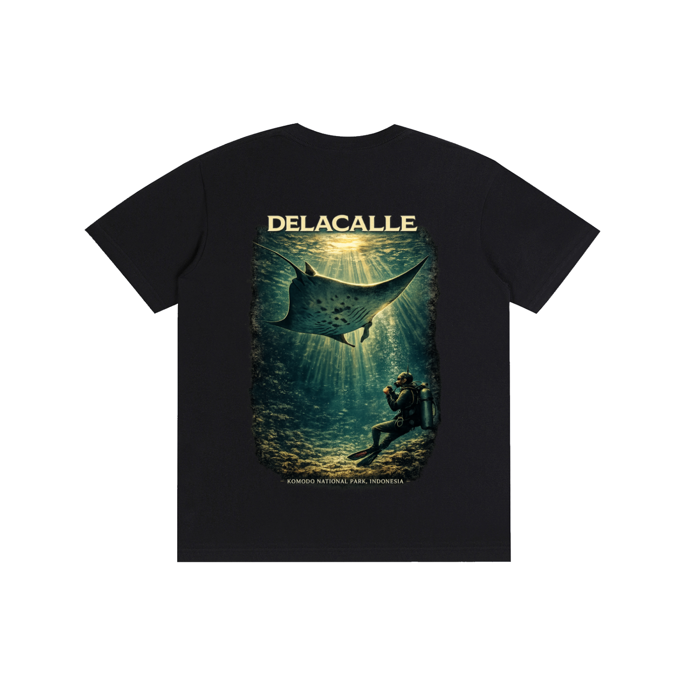Delacalle - Blue Manta Encounter - IDN