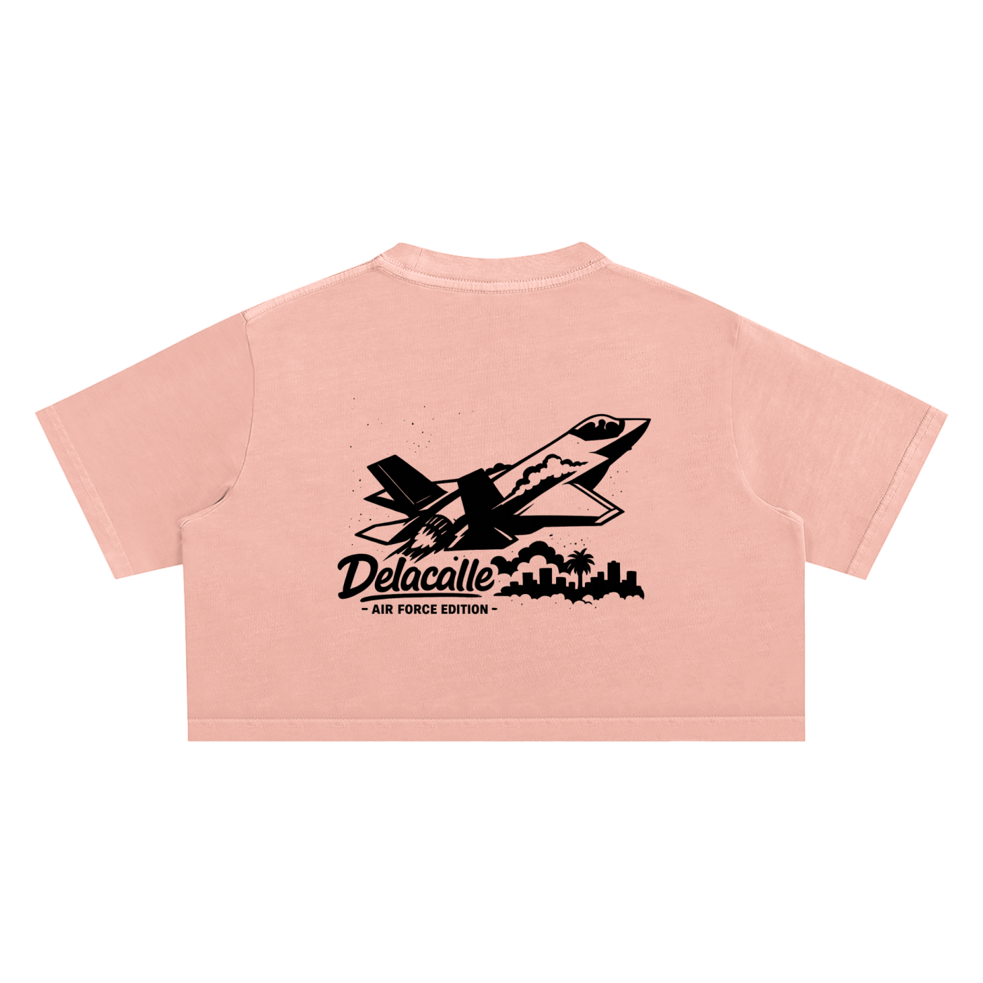 Delacalle - Air Force Edition - F35 in Action