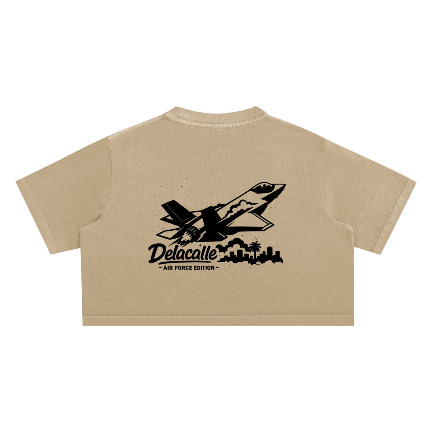 Delacalle - Air Force Edition - F35 in Action