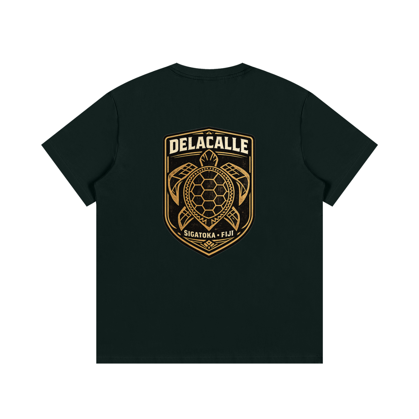 Delacalle - Sigatoka Turtle - FJ