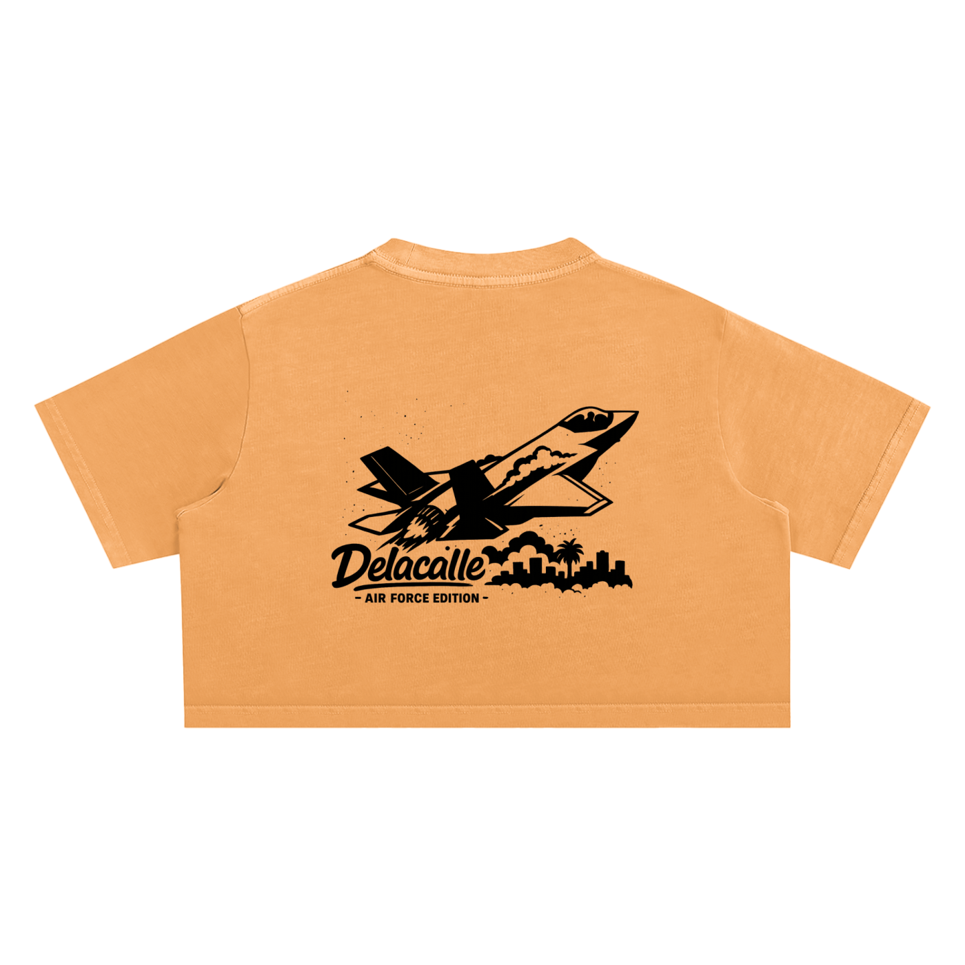 Delacalle - Air Force Edition - F35 in Action